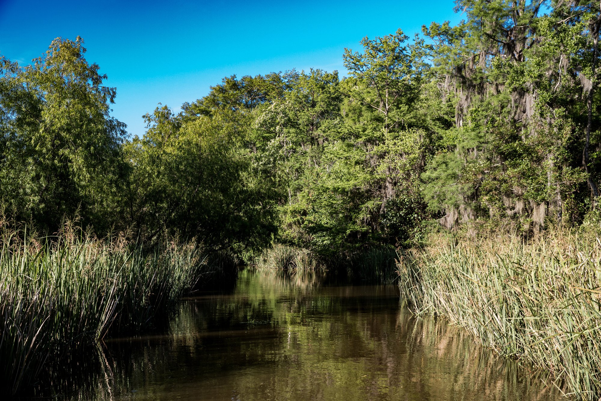 Louisiana270 Louisiana270