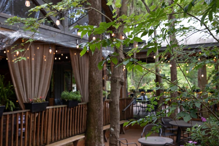 Tammany_Palmettos_June2023_122